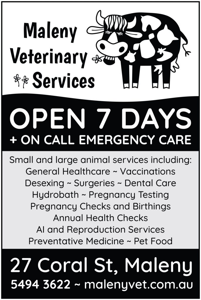 Maleny Veterinary Services