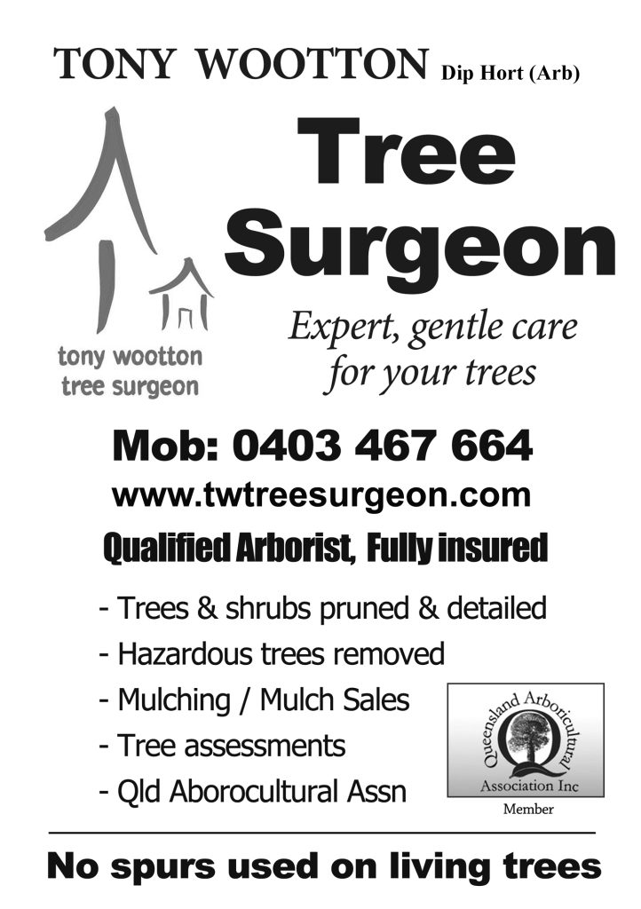 Tony Wootton Tree Surgeon